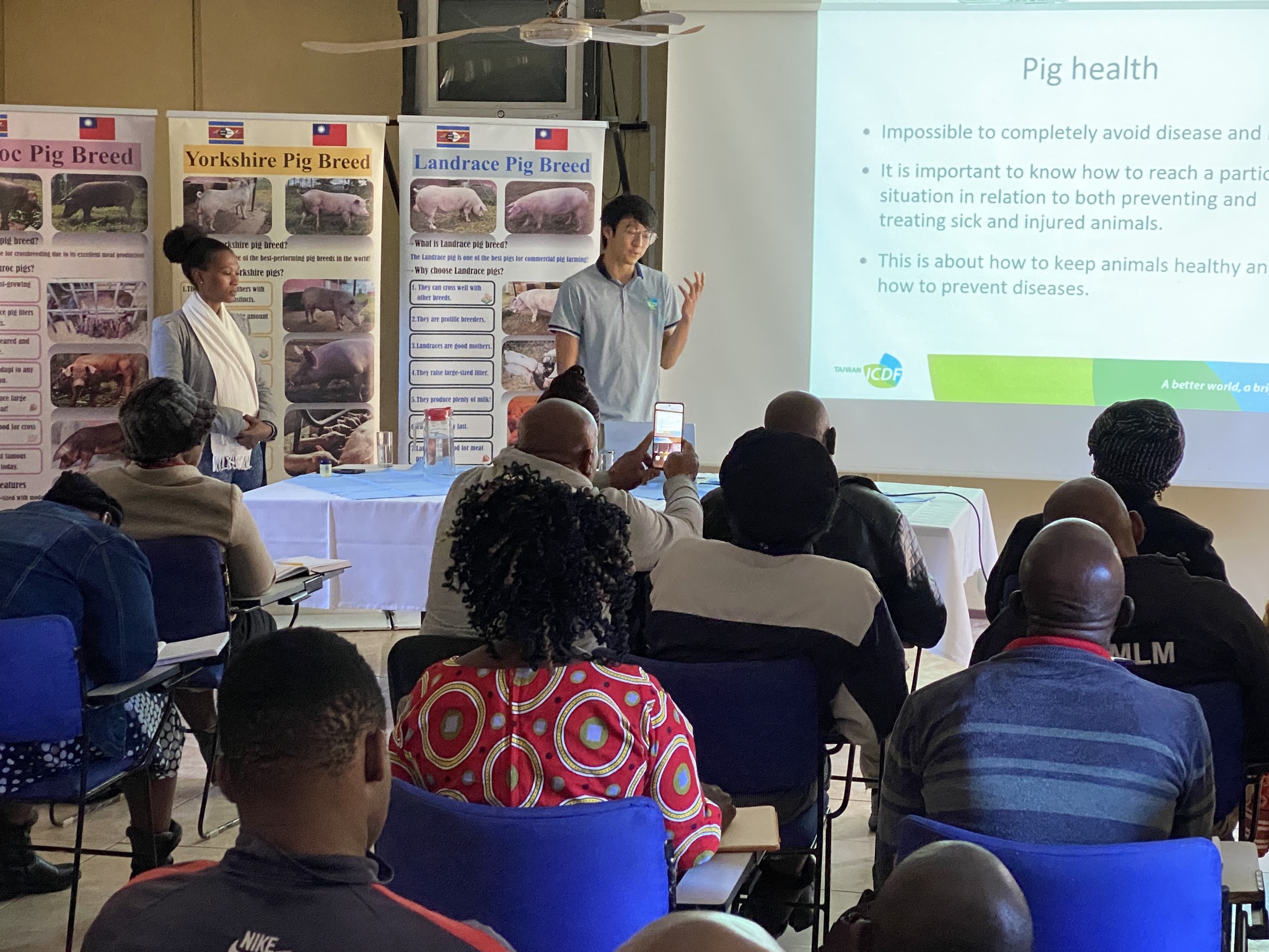 Taiwan Technical Mission Powers Through Outages to Deliver Pig Farming Training in Hlohlo North