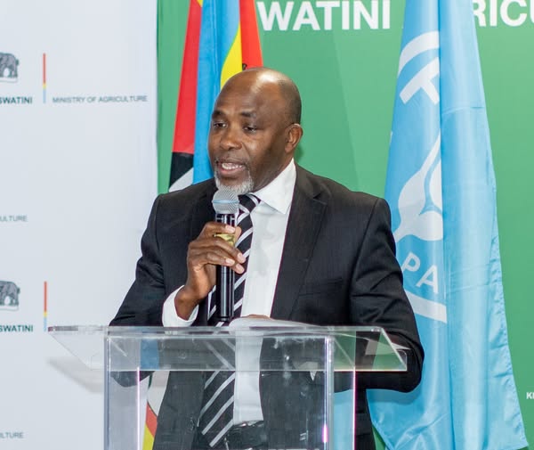 Africa’s Youth Hold the Key to Agricultural Transformation — UN Resident Coordinator